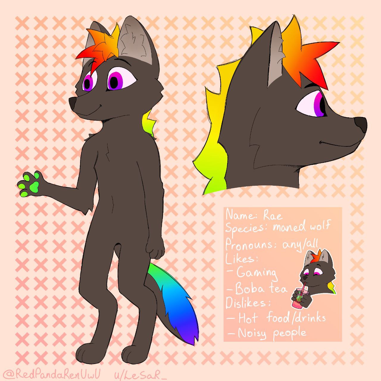 Example reference sheet image #2