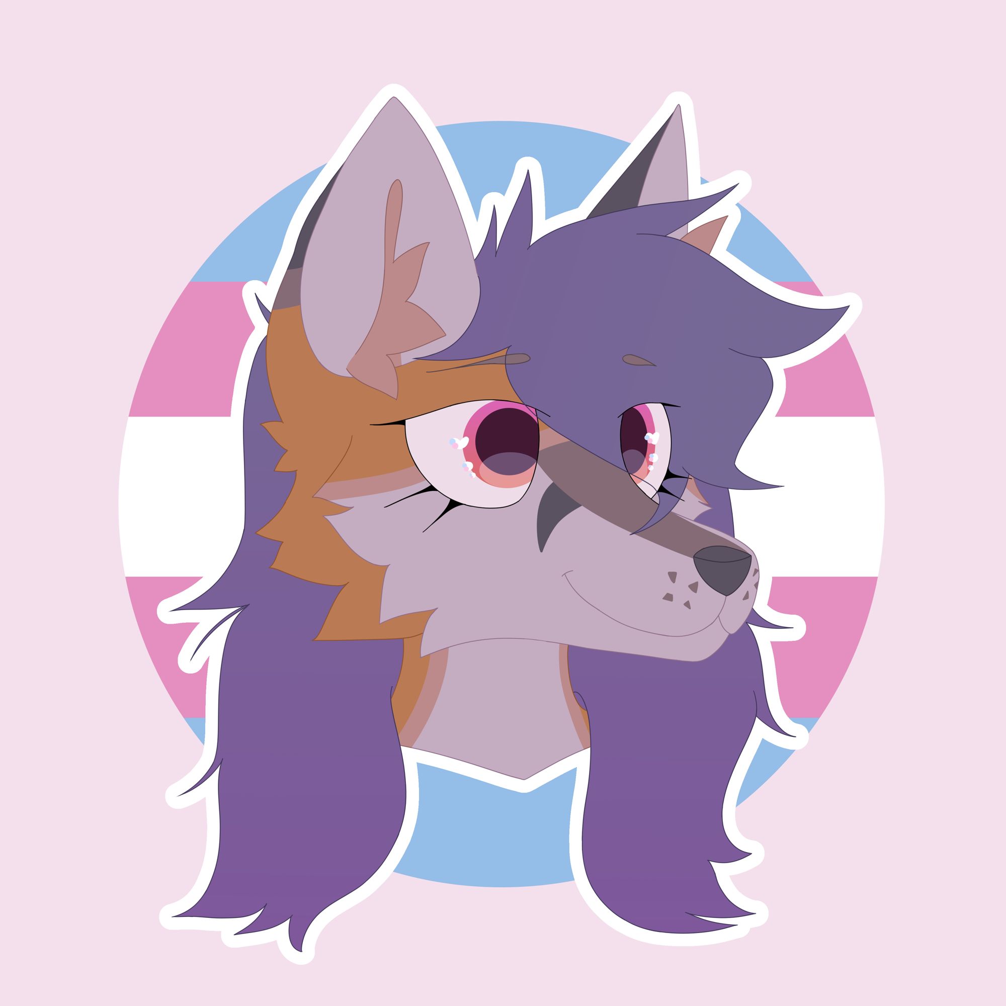Laysar's profile picture, featuring a headshot on a trans flag background